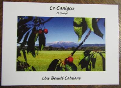Carte postale le Canigou et les cerises