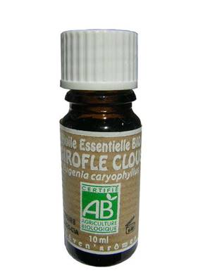 HE Bio Girofle clous 10ml