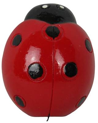 Magnet Coccinelle