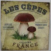 Plaque alu 19x19cm cèpes
