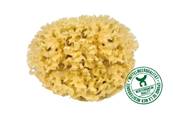 Eponge naturelle 13 cm