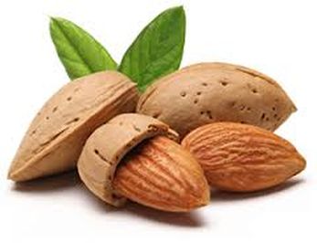 AMANDES