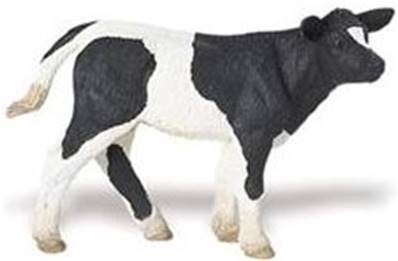 Veau Holstein figurine Safari