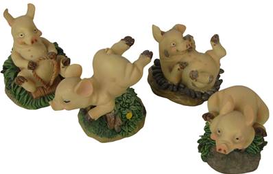 Cochon modèle aléatoire