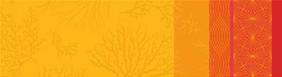 nappe 150x250cm Ulysse Orange Jaune
