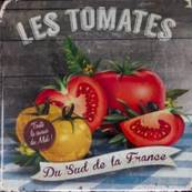 Dessous de plat tomates 20x20
