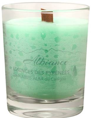 ALBIANCE – Bougie Végétale Abies Alba Bougie Forêt de sapins