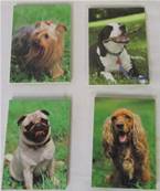 Mini-bloc chiens