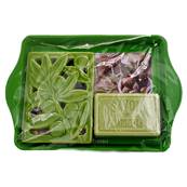 Mini plateau savon + porte savon