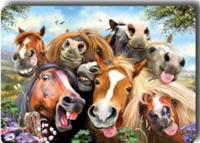 Magnet selfie chevaux