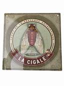 Plaque alu 19x19cm cigale fond vert