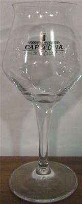 Verre sommelier à bière 25cl Cap d'ona