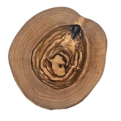 Sous Tasses rustique D12CM