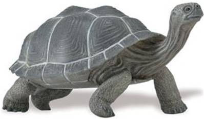 Tortue figurine Safari