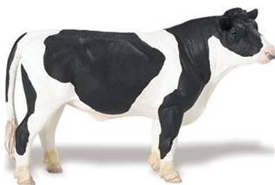 Taureau Holstein figurine Safari