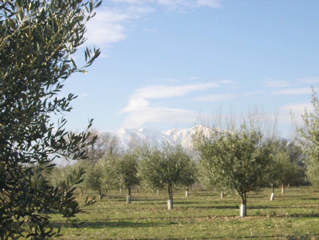 Insolite Canigou